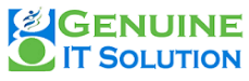Genuine IT Solutions - Digital Partner